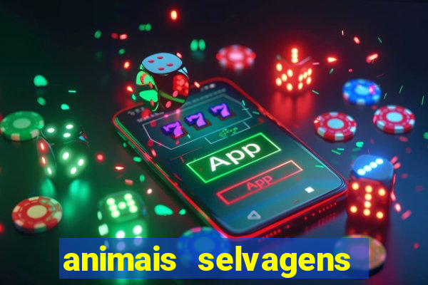 animais selvagens fotos e nomes